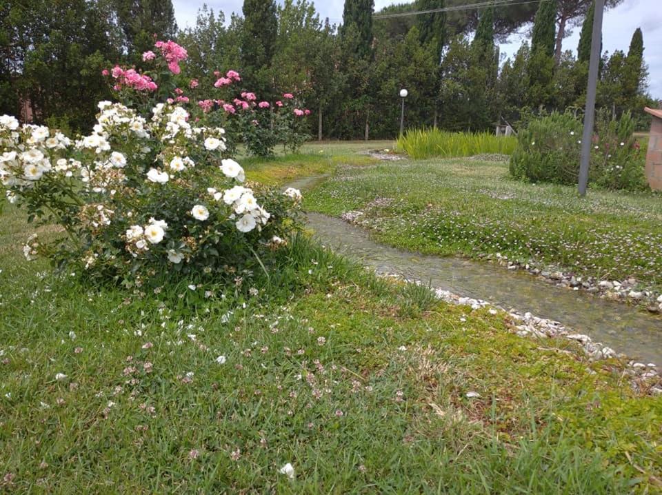 Agriturismo Il Selvello Le Versegge Exterior foto