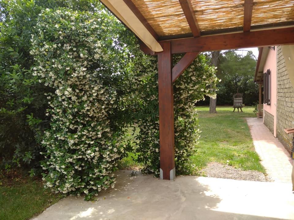 Agriturismo Il Selvello Le Versegge Exterior foto